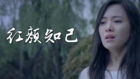 网络伤感情歌排行榜TOP100（高品质mp3）