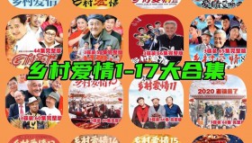 乡村爱情1-17部+番外剧合集