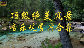 音乐观赏片大合集（绝美风景视觉盛宴）