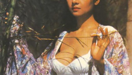 叶子楣主演的电影作品合集