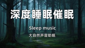 大自然助眠音乐合集