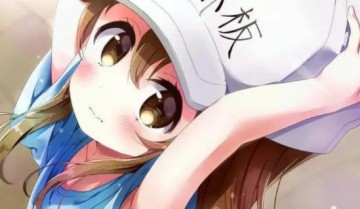 工作细胞系列合集（TV版+black+特别篇+剧场版+特典）