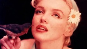 玛丽莲·梦露电影7部合集