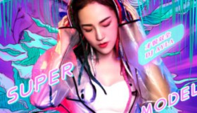 车载DJ串烧无损歌曲合集300首