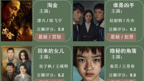 迷雾剧场合集（16部国产悬疑剧）