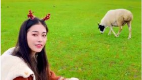 草原歌曲热歌排行榜top200（高品质mp3）