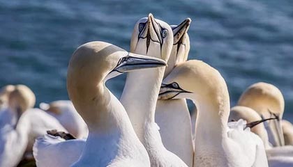 童安格的歌曲大全(1985-2011年所有专辑歌曲）