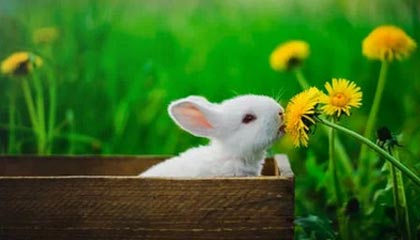 童安格的歌曲大全(1985-2011年所有专辑歌曲）