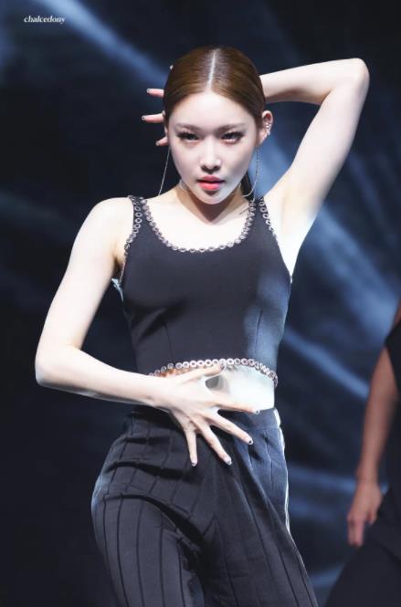 金请夏的全部29张歌曲专辑合集