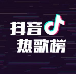<strong>抖音</strong>最火歌曲精选《新流行热歌榜10CD》