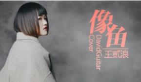 王贰浪无损FLAC/MP3-320k歌曲《像鱼》