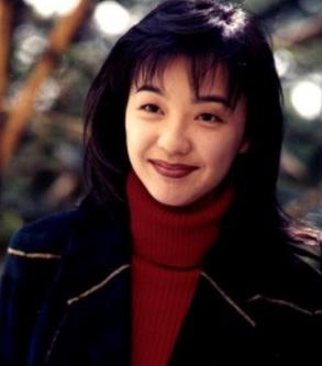 陈慧娴的歌曲大全（1984-2015年音乐歌曲专辑合集）