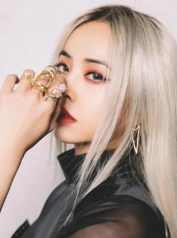 蔡依林的歌曲专辑合集（1100+首歌曲）