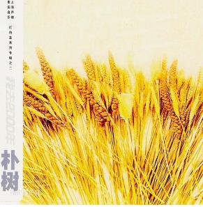 朴树专辑《我去2000年》（首张个人专辑）