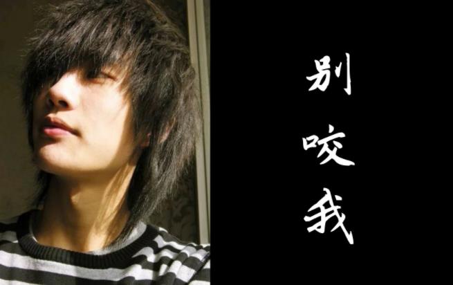 Kent王健+丁贇娟（阿布）+许嵩歌曲《别咬我》flac版（含歌词）