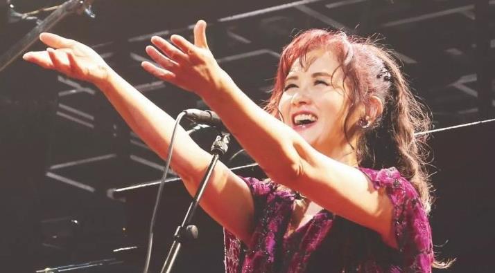 翻唱自日语的经典中文歌曲+日本原版歌曲合集（共25组50首歌曲）