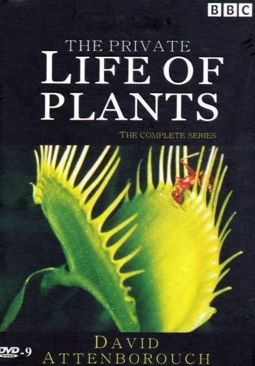 植物的另类生活（植物私生活）