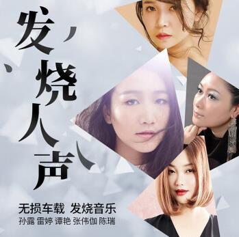 群星 - 30首顶级人声发烧2CD