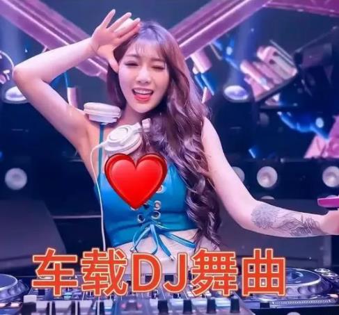 2024年最新整理车载DJ（轻松开一路）